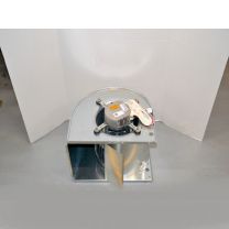 BLW0718.jpg